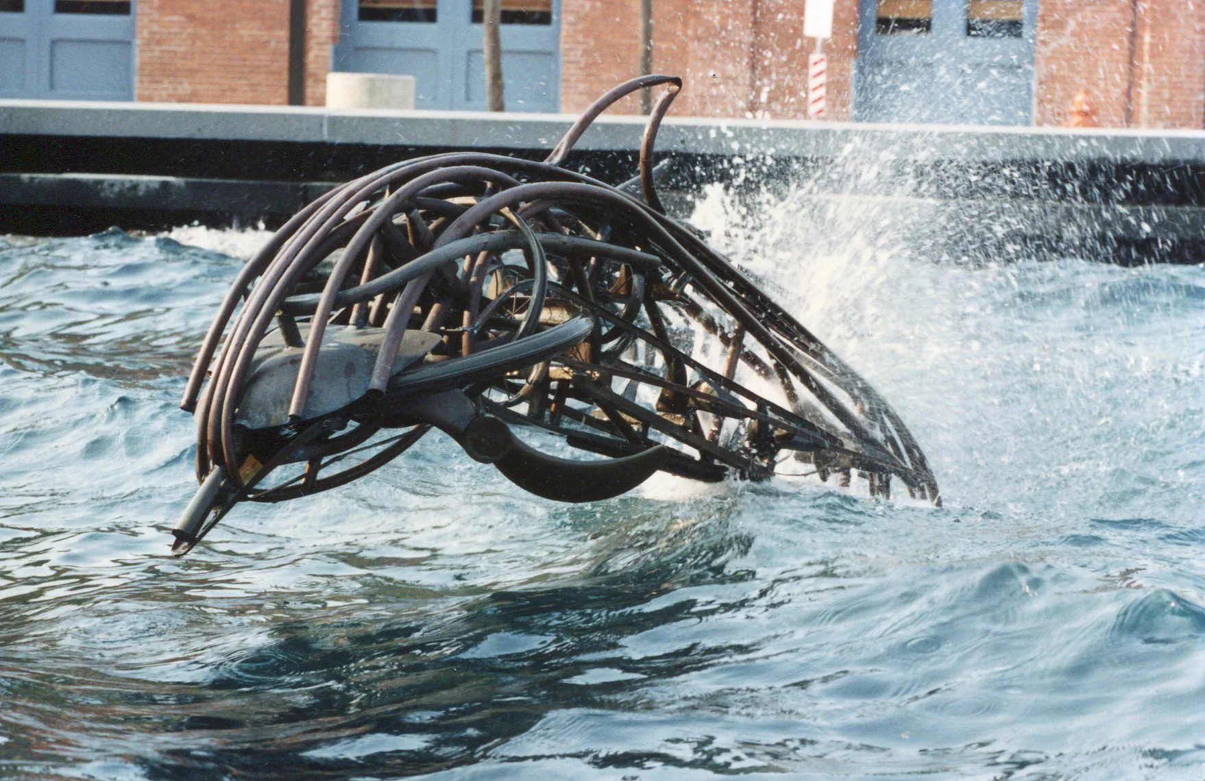 Dolphin IV
