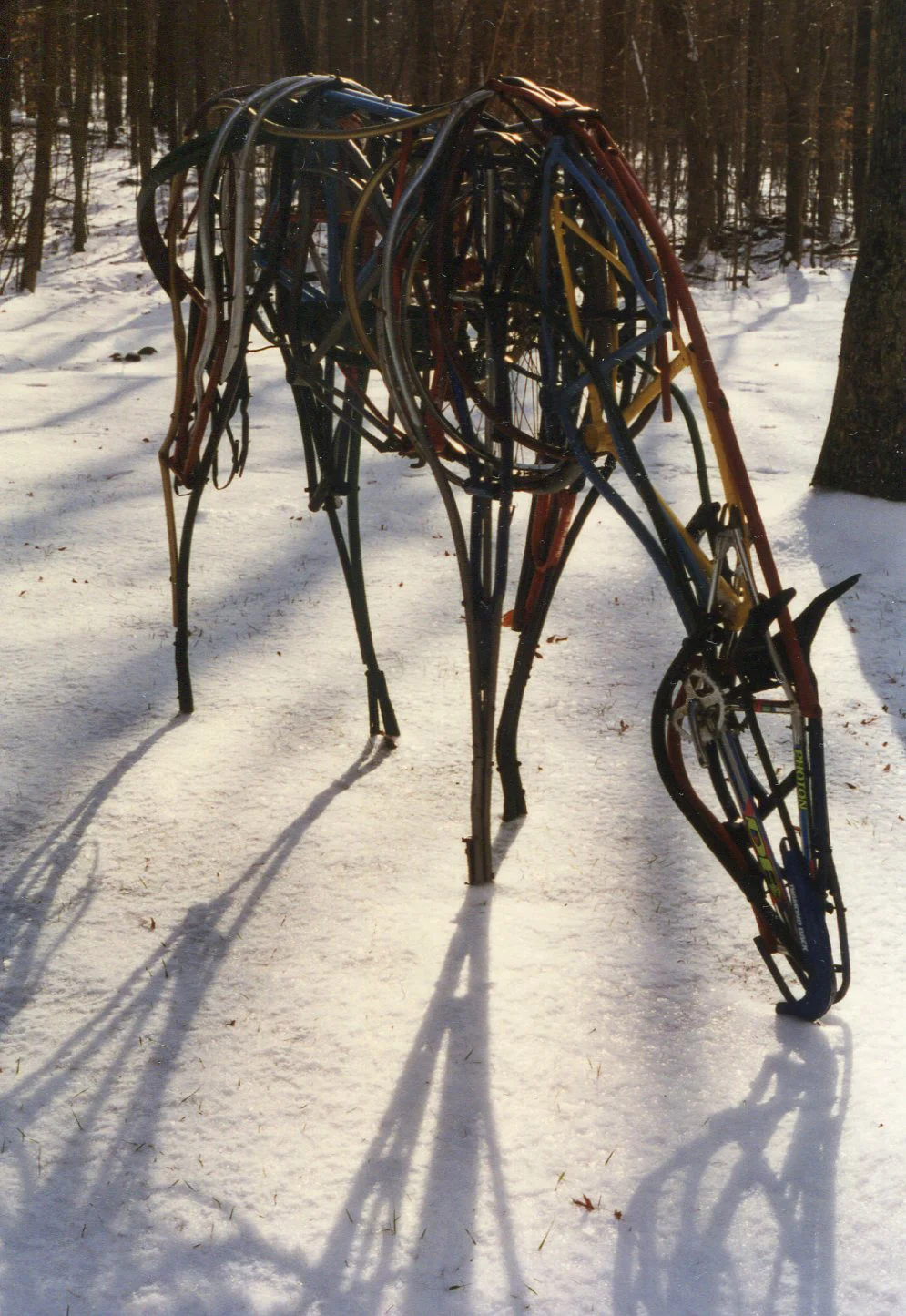 Grazing Horse