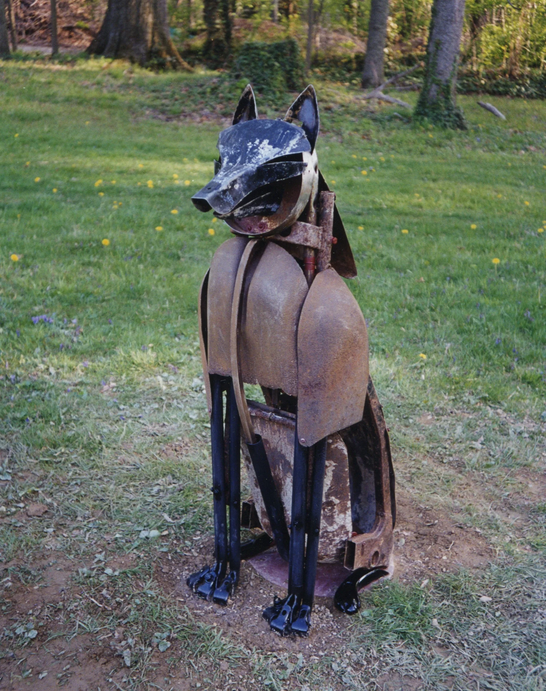 Wolf