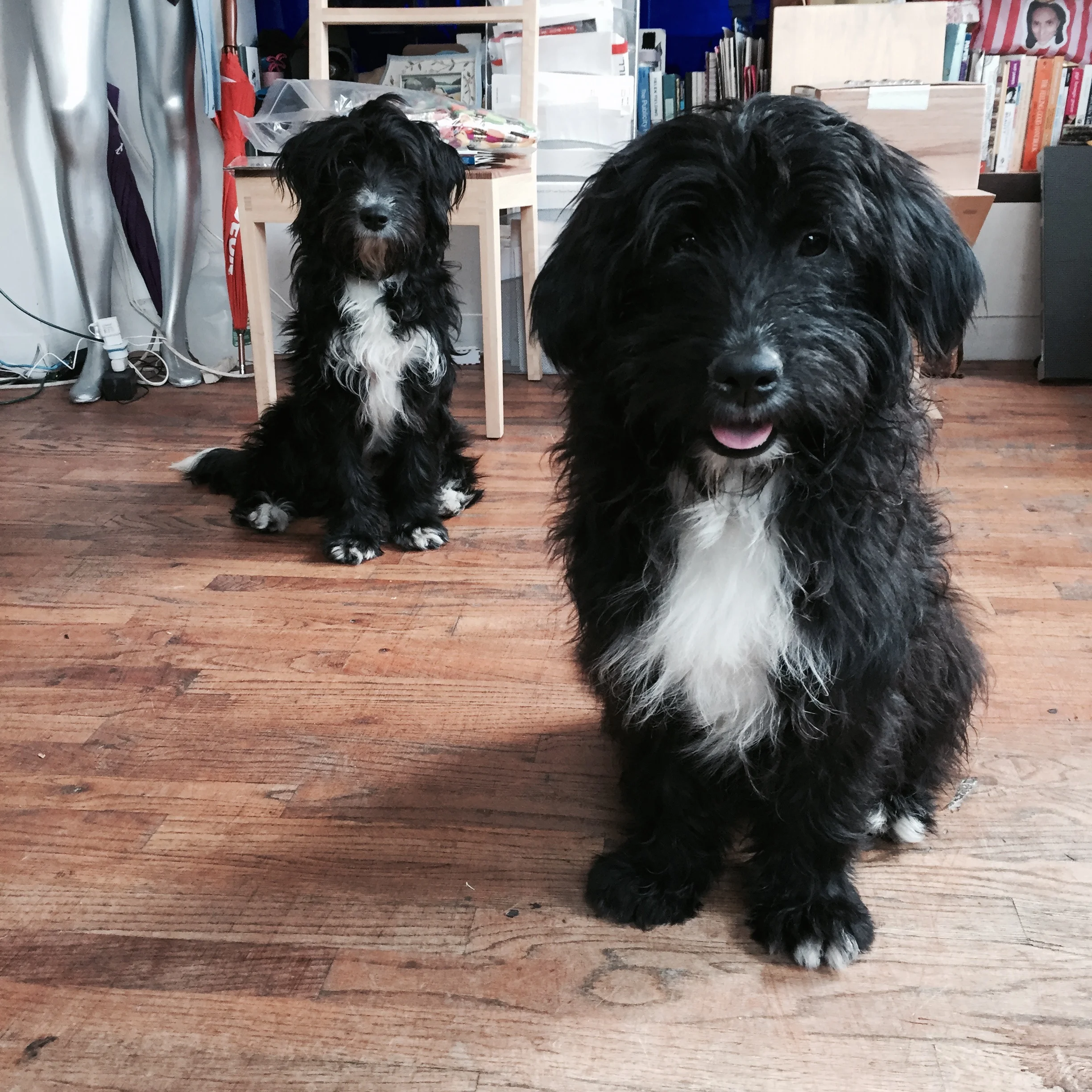 Annie and Otis. Photo courtesy: Collab