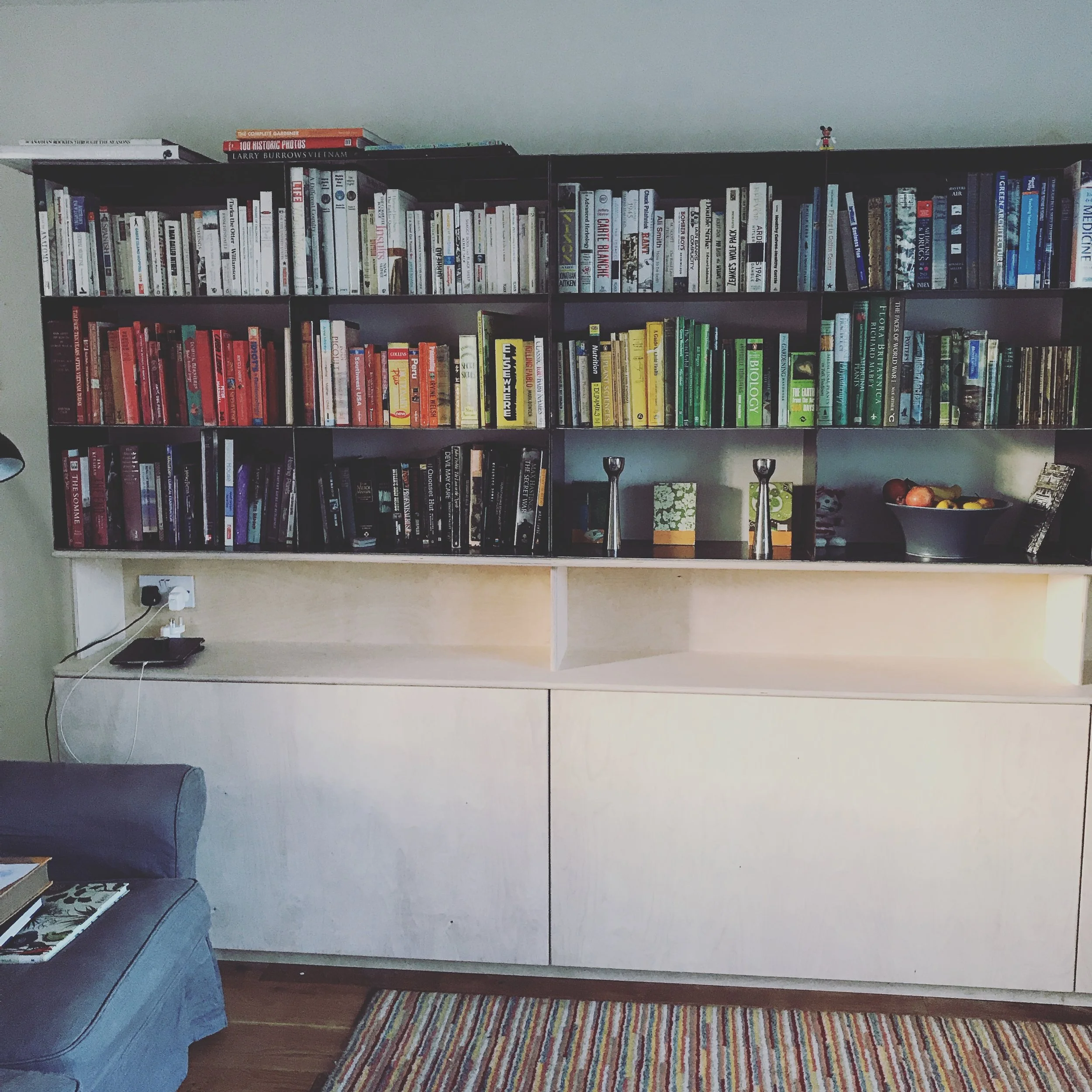 Steel and Birch ply shelving unit