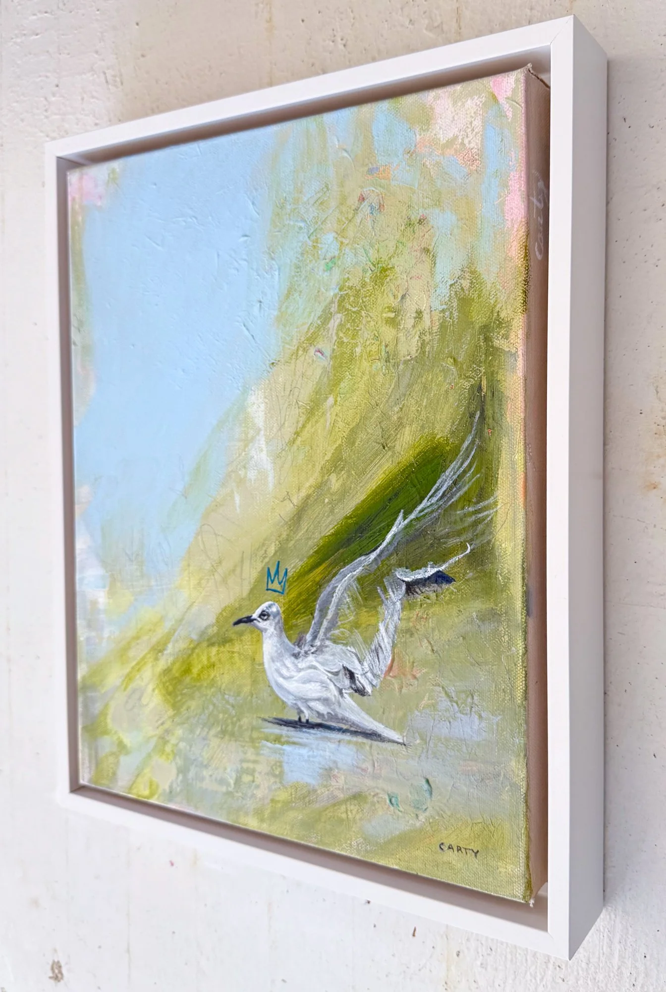 Bird art, Little gull with a crown painting by Megan Carty