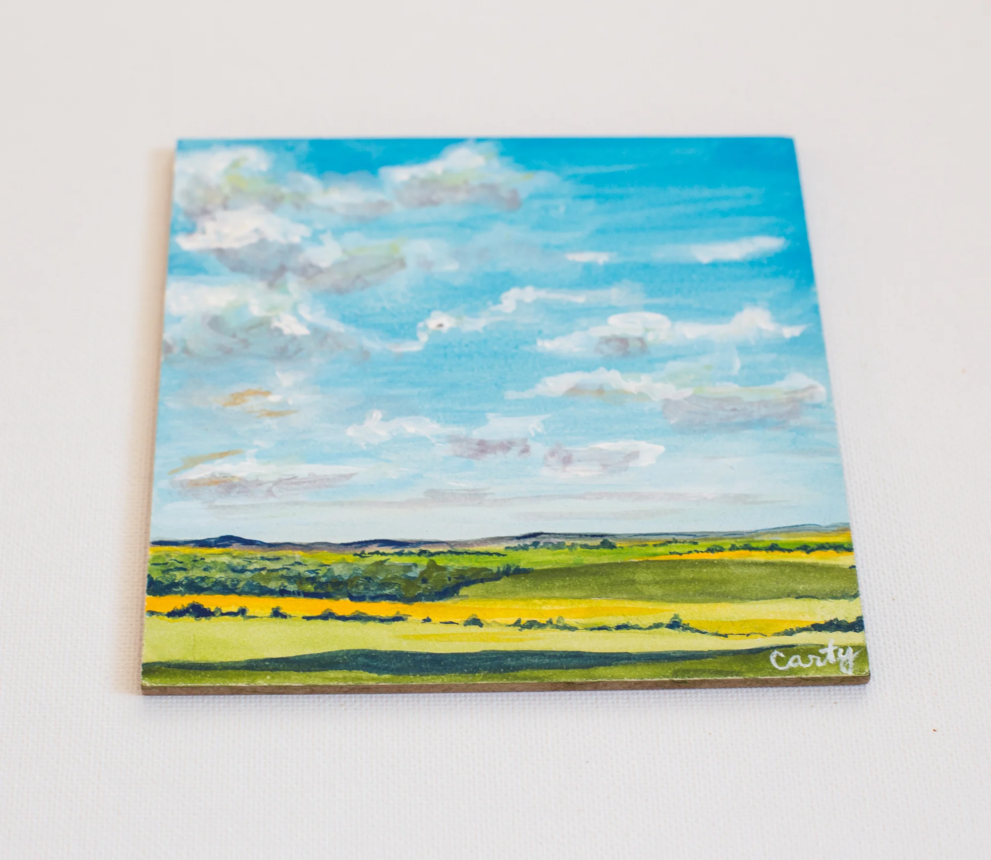 gouache landscape painting by megan carty