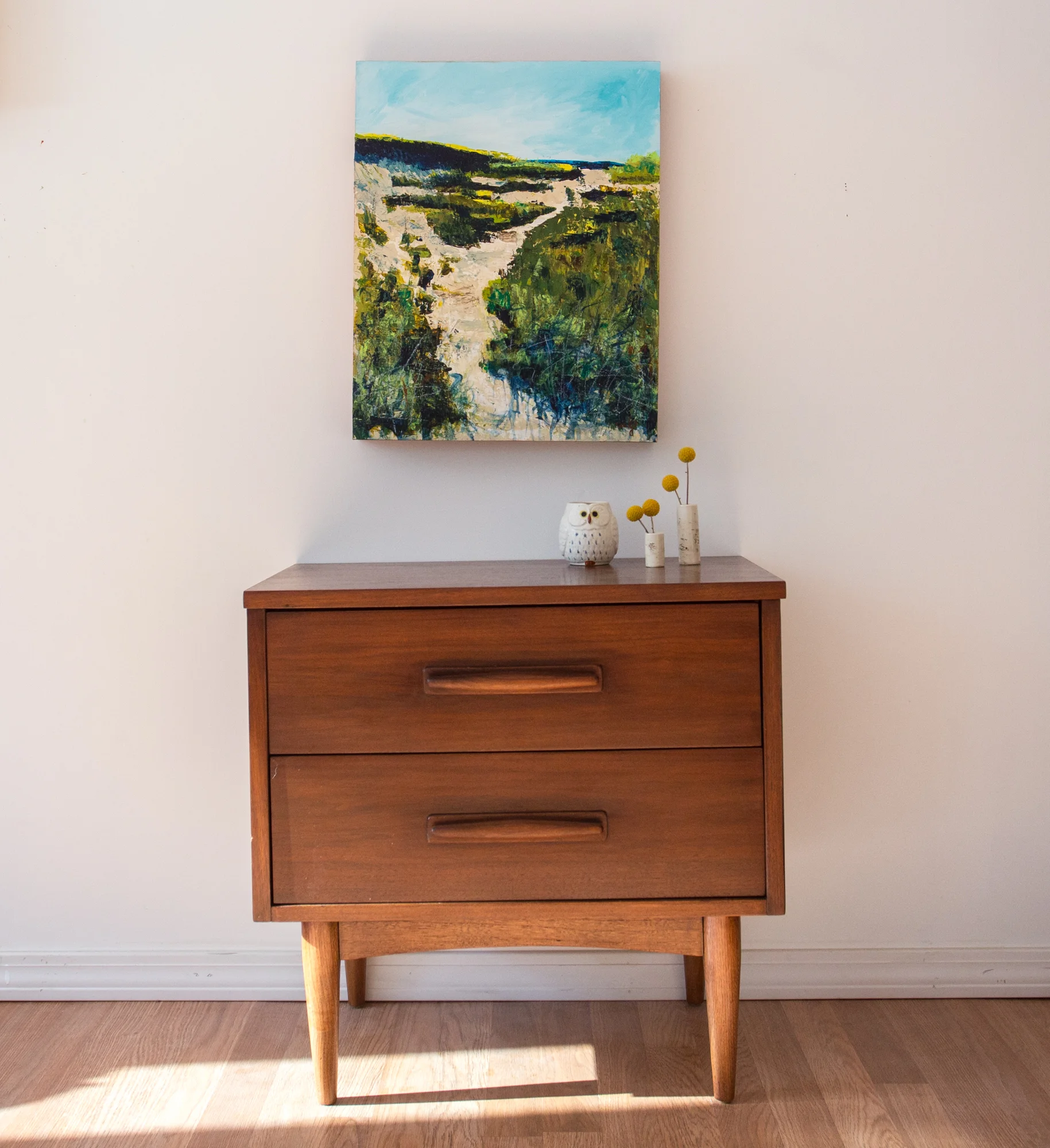 mid-century furniture, sand dune abstract landscape painting by Megan Carty