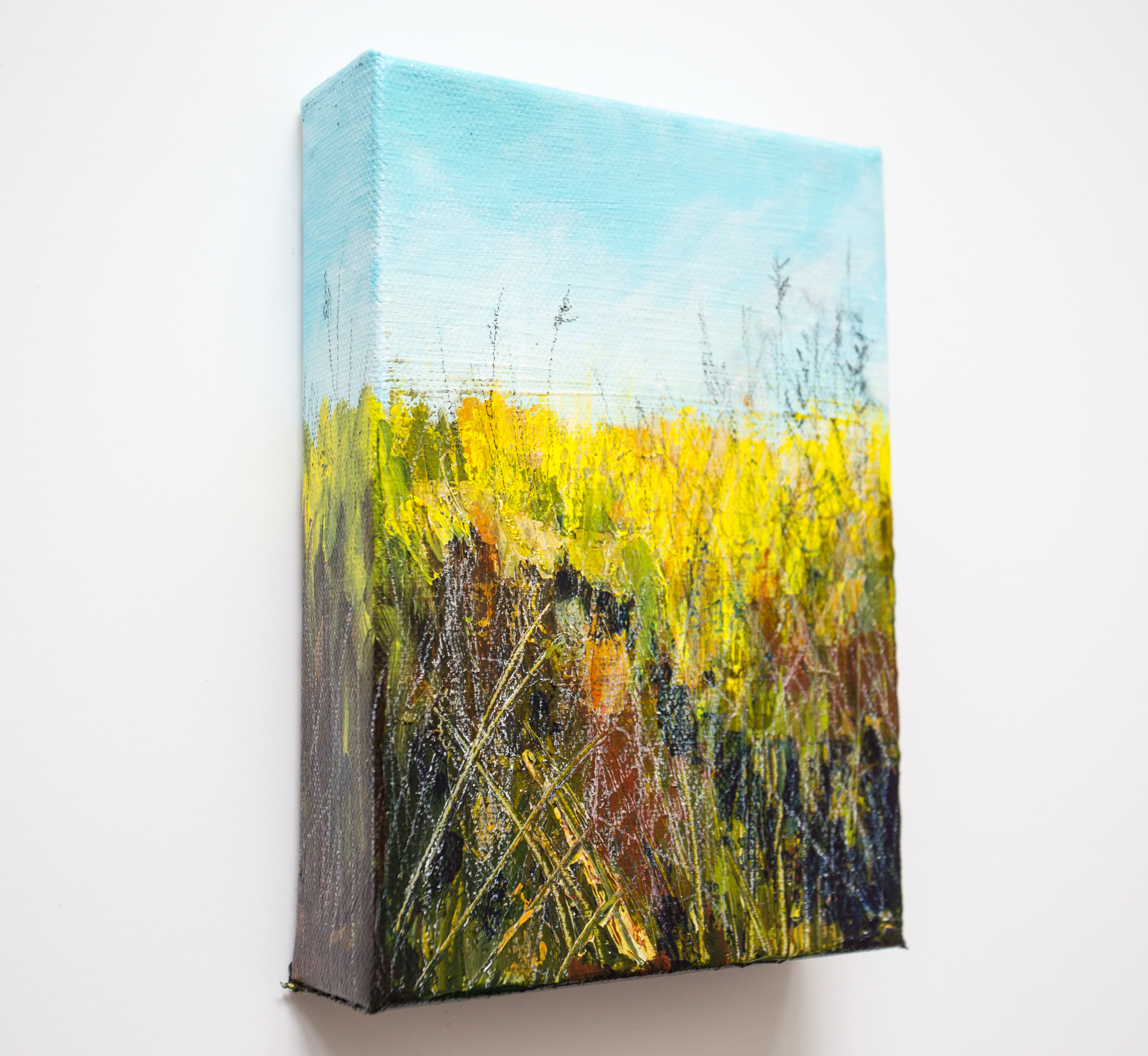 Abstract Landscape painting by Megan Carty, grass and sky painting