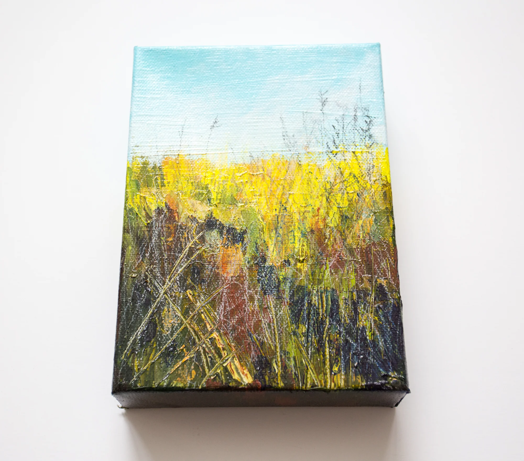 Maine marsh painting by Megan Carty