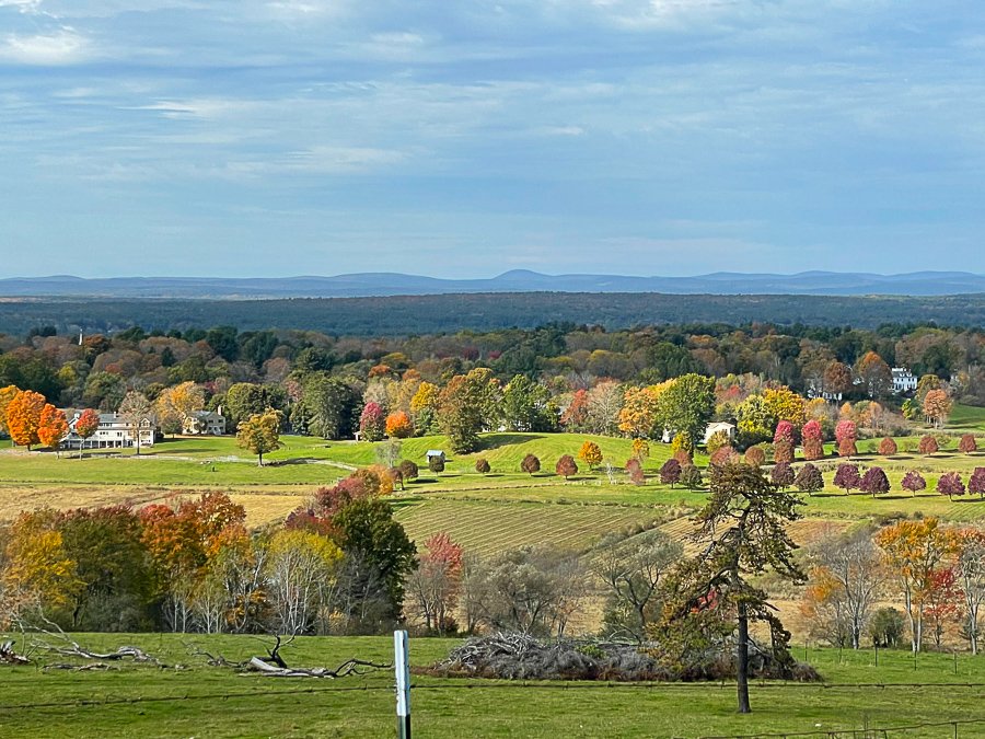 Megan_Carty_new_england_fall_foliage-02.jpg