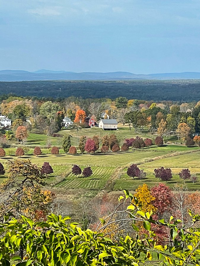 Megan_Carty_new_england_fall_foliage-03.jpg