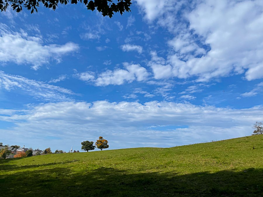 Megan_Carty_new_england_fall_foliage-05.jpg