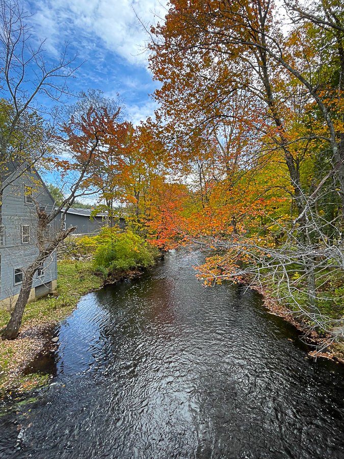 Megan_Carty_new_england_fall_foliage-07.jpg