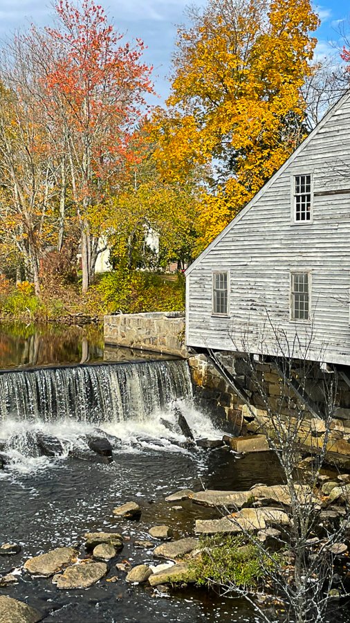 Megan_Carty_new_england_fall_foliage-08.jpg