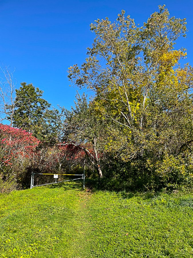 Megan_Carty_new_england_fall_foliage-20.jpg