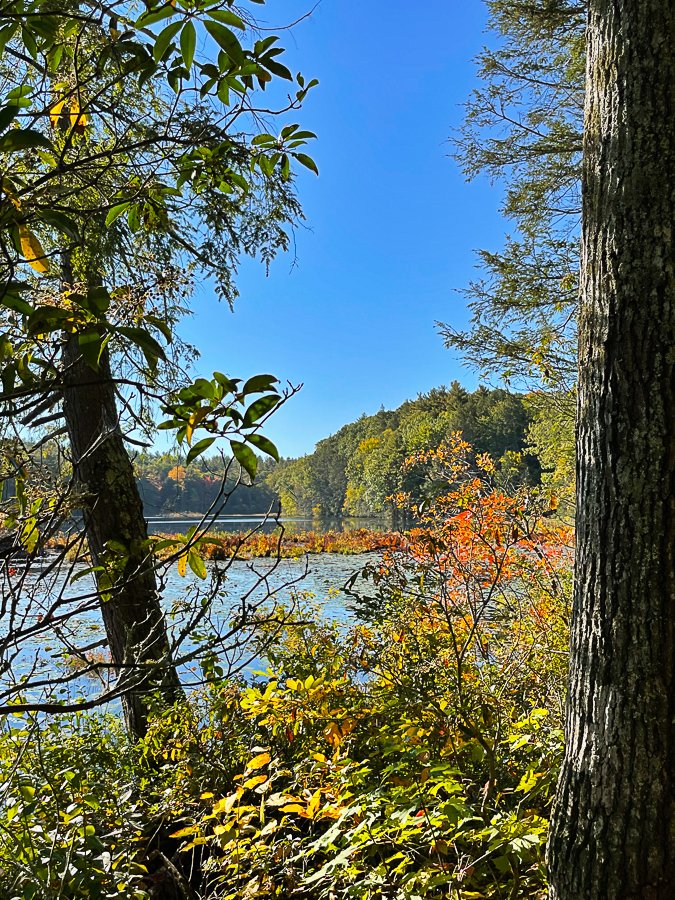 Megan_Carty_new_england_fall_foliage-22.jpg