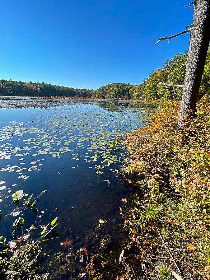 Megan_Carty_new_england_fall_foliage-23.jpg