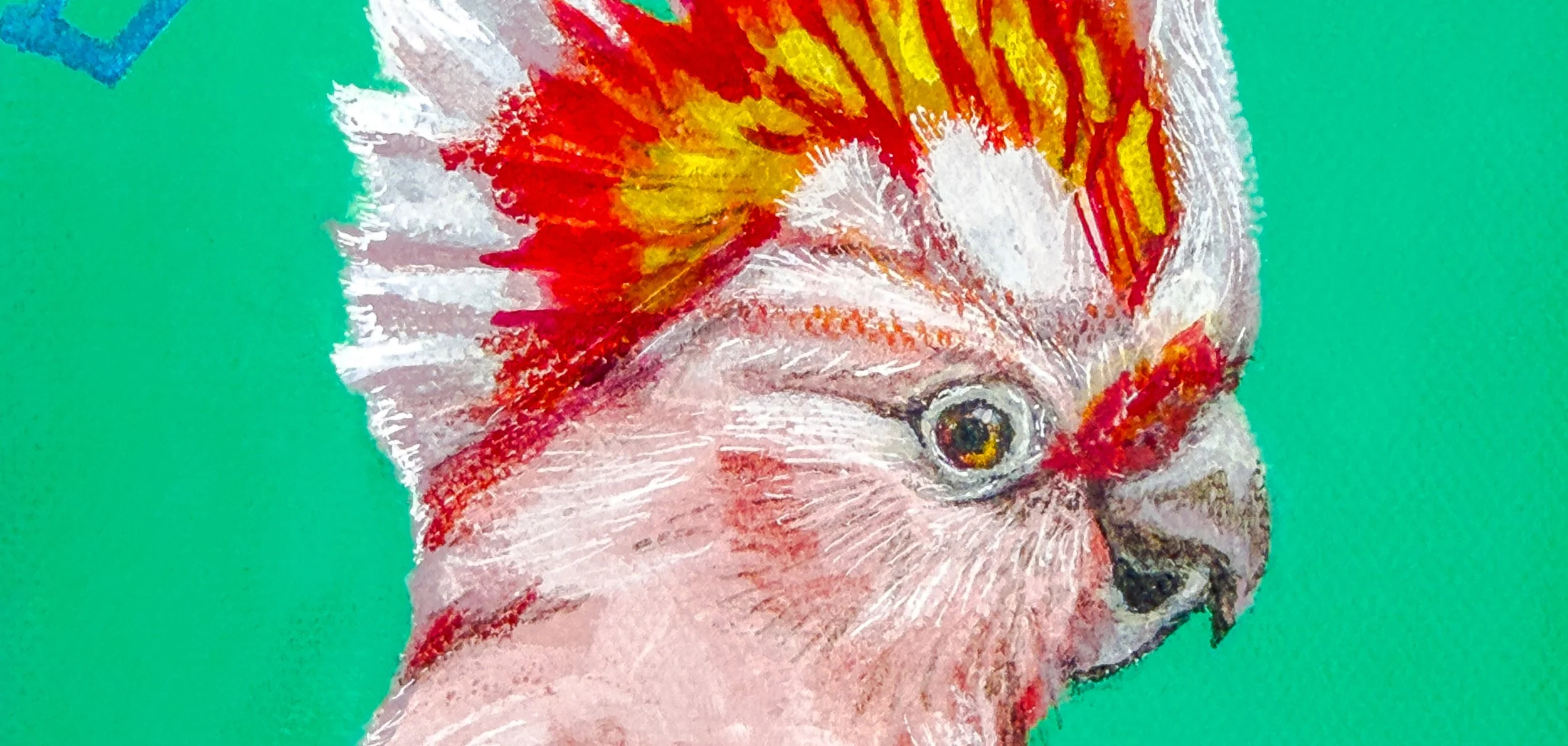Marion Loved Her Botox, Major Mitchell Cockatoo Fine Art Print