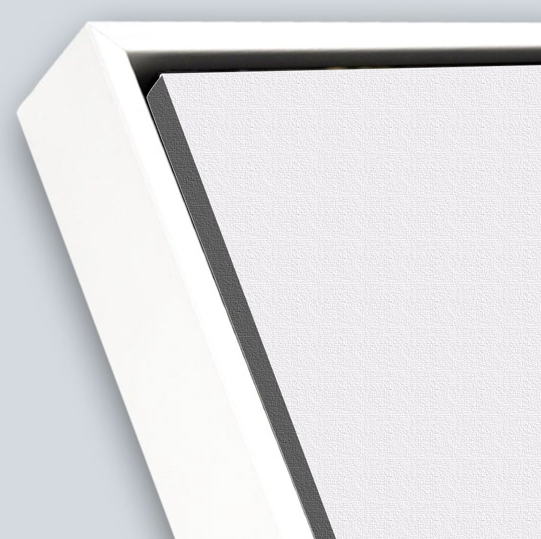white_frame_closeup_white_canvas.jpg