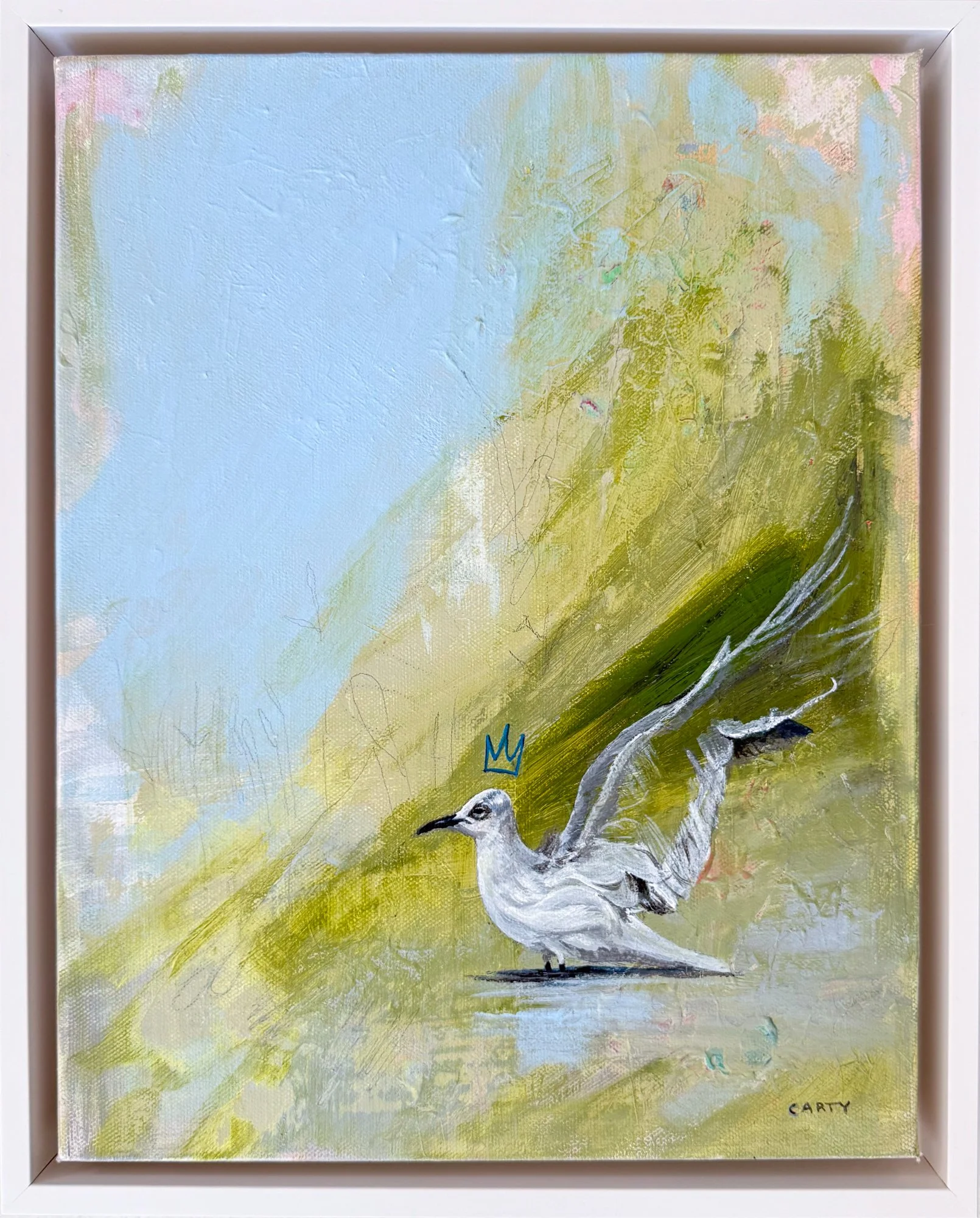 Bird art, Little gull with a crown painting by Megan Carty
