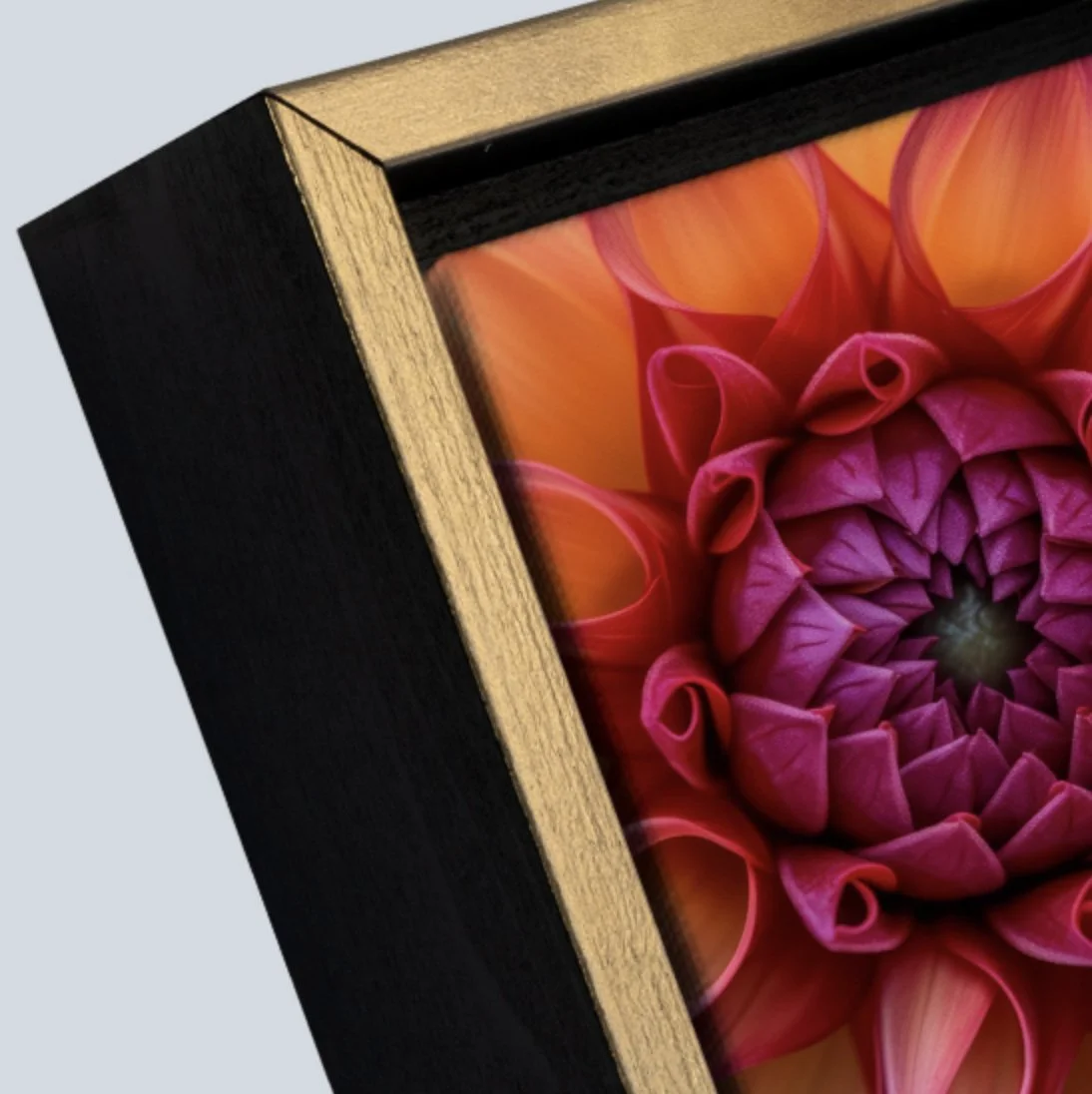 gold_black_closeup.jpg (Copy) (Copy) (Copy) (Copy) (Copy) (Copy) (Copy) (Copy) (Copy) (Copy) (Copy)