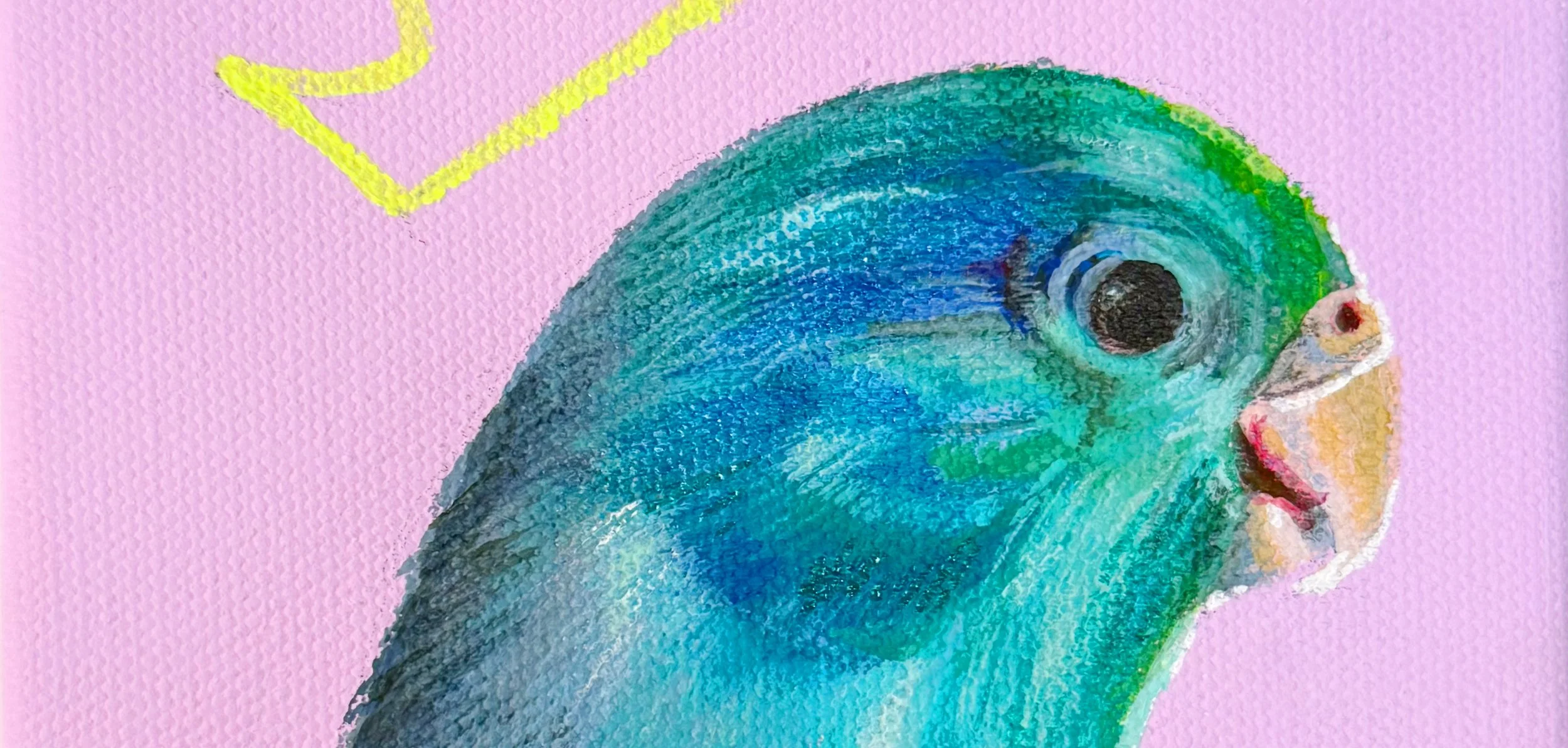 Ethel Hits Town, Parakeet fine art print