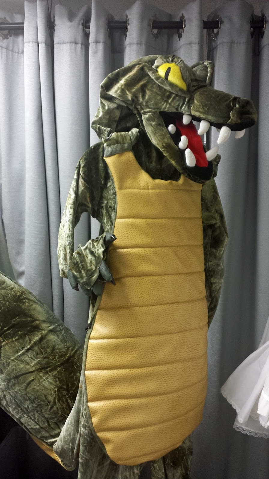 crocodile 1.png