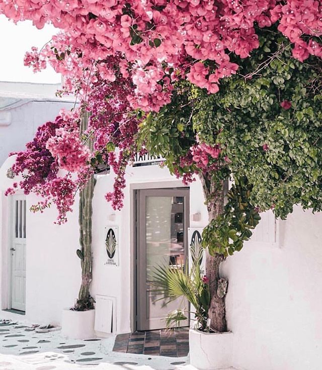 Doesnβt this just take your breath away?! .
.
.
#kgdesigns #interiordesign #kaygenuadesigns #fortworthinteriordesigner #fortworth #blogger #interiordesigner #designer
#design #homedecor #interiors #decor #blog #fwinteriordesigner #ftworthtx #pink #floral #flowers