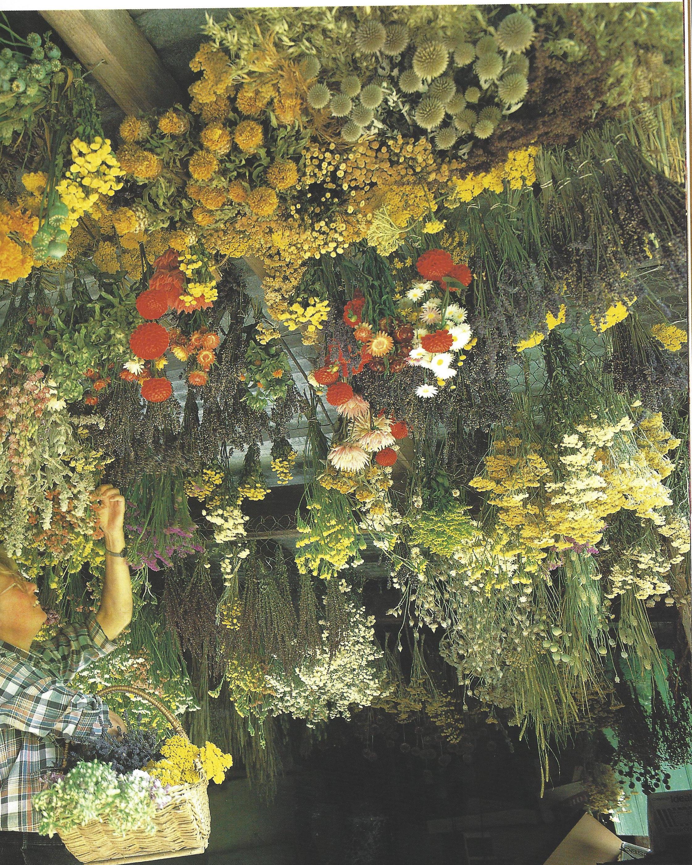 scan0034_Page_6.jpg