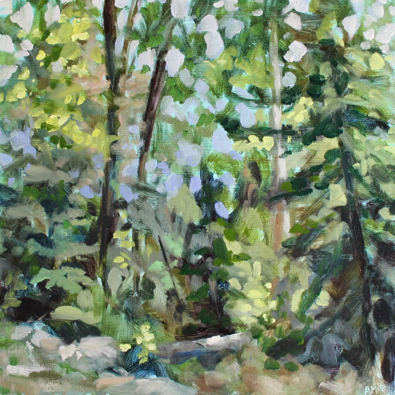 Woods view