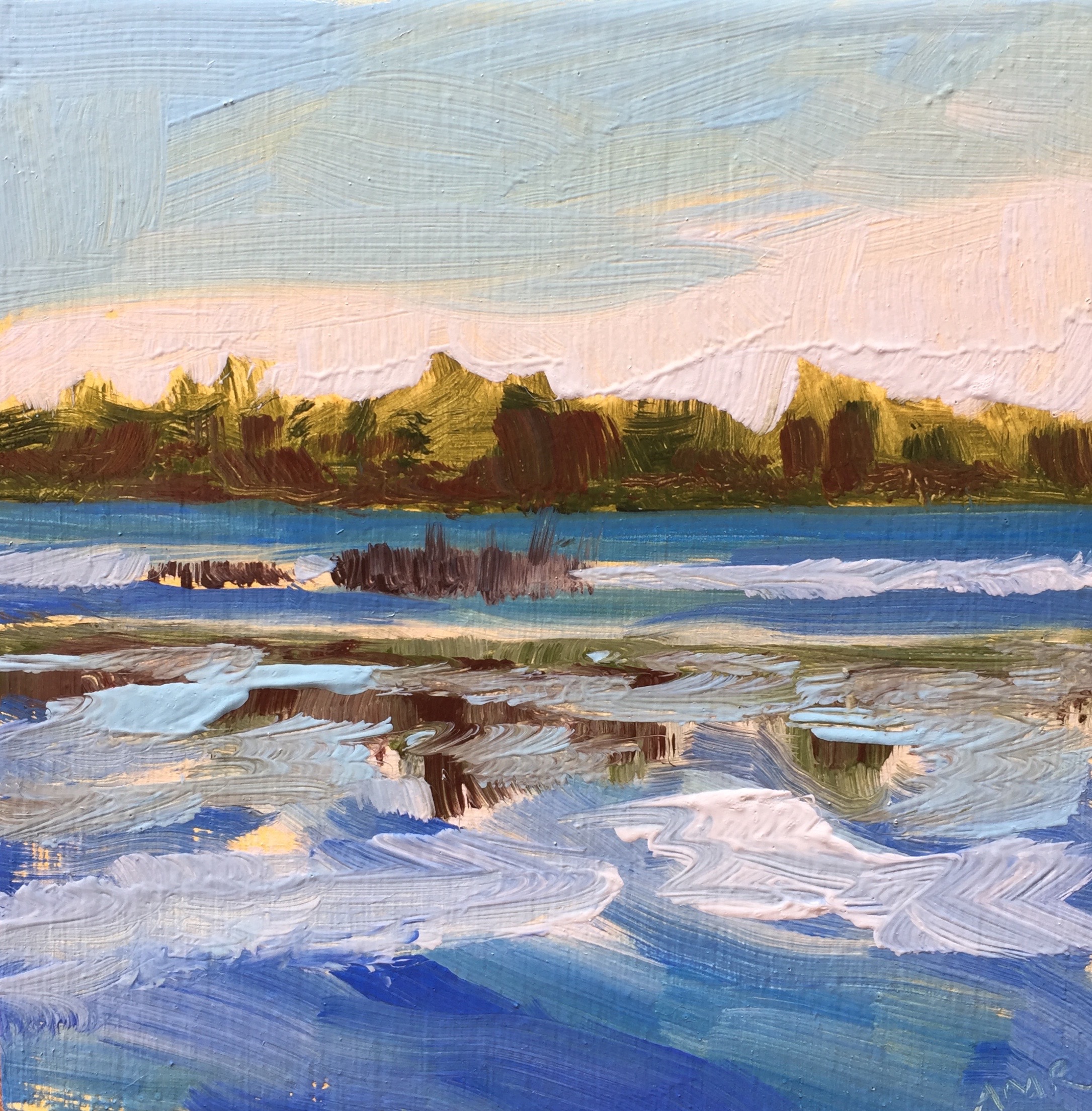 Moose Pond Late Afternoon