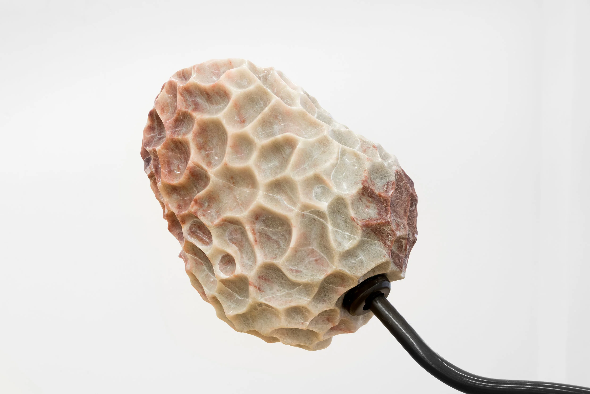 ProjetPangeeMai2019 (7 of 18).jpg