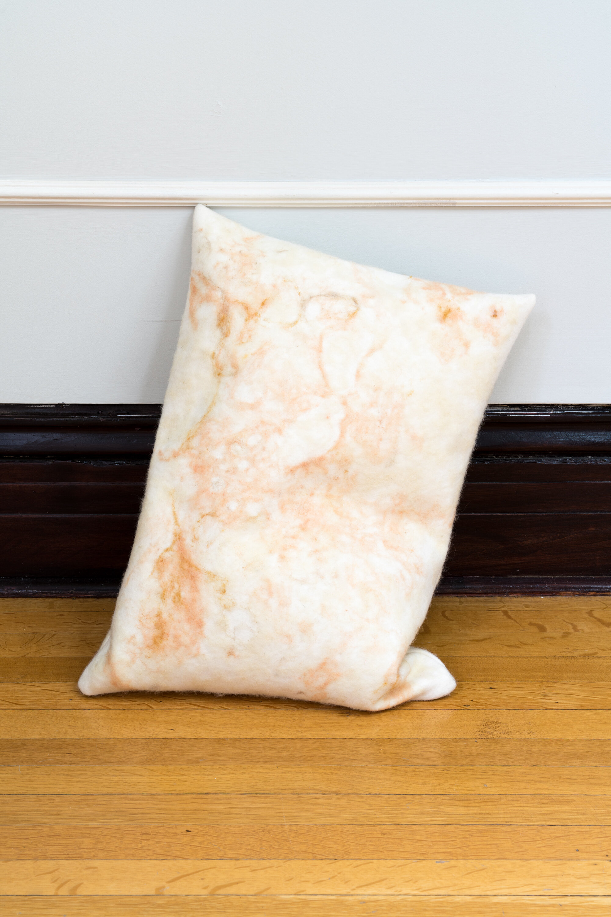 ProjetPangee_ASMA_Haunted pillow(2021)_26x18x6inches.jpg
