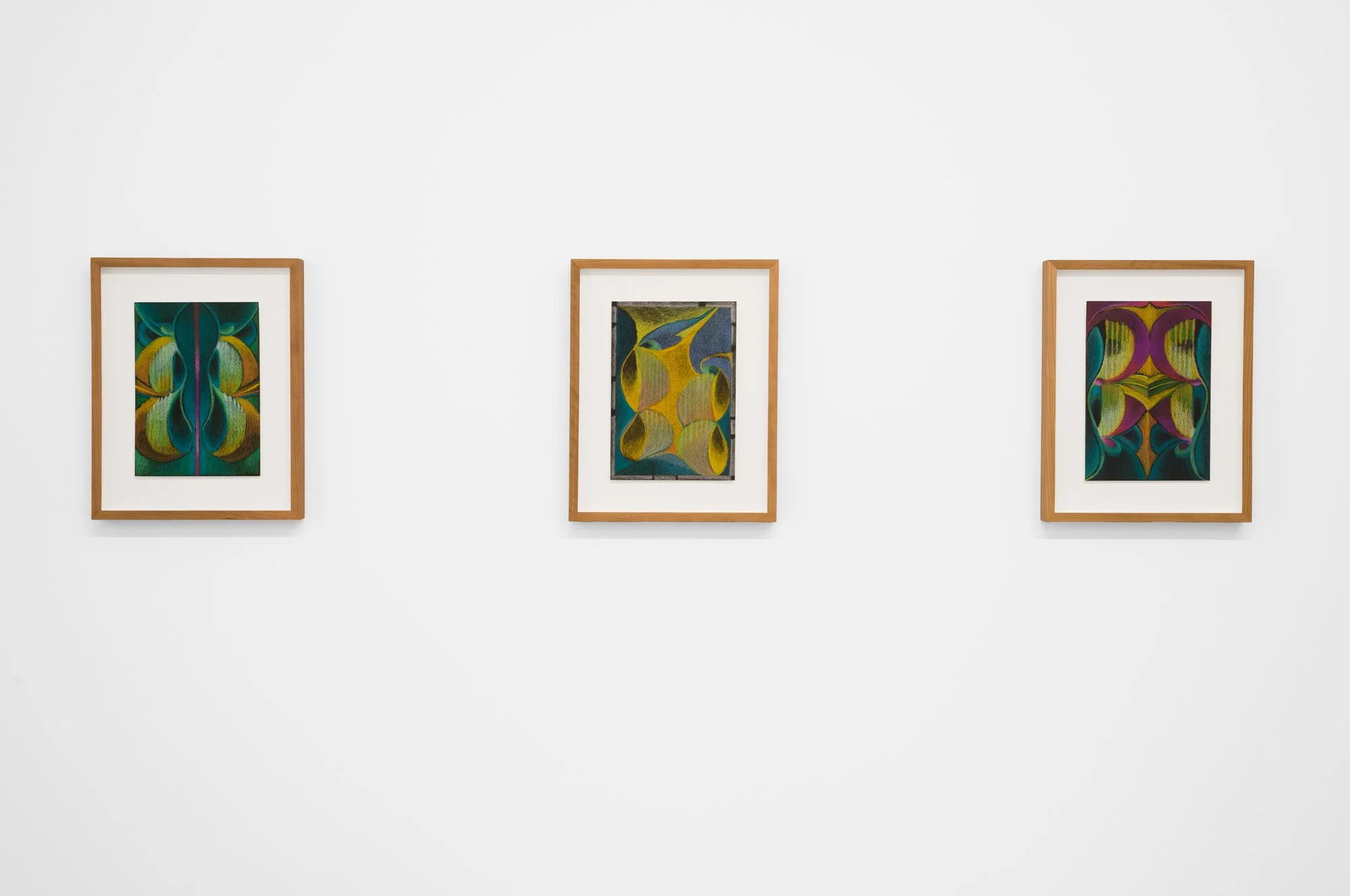 Pangée_ÉliseLafontaine_Lombrives-les dessins_2024_Installationviews_003.jpg