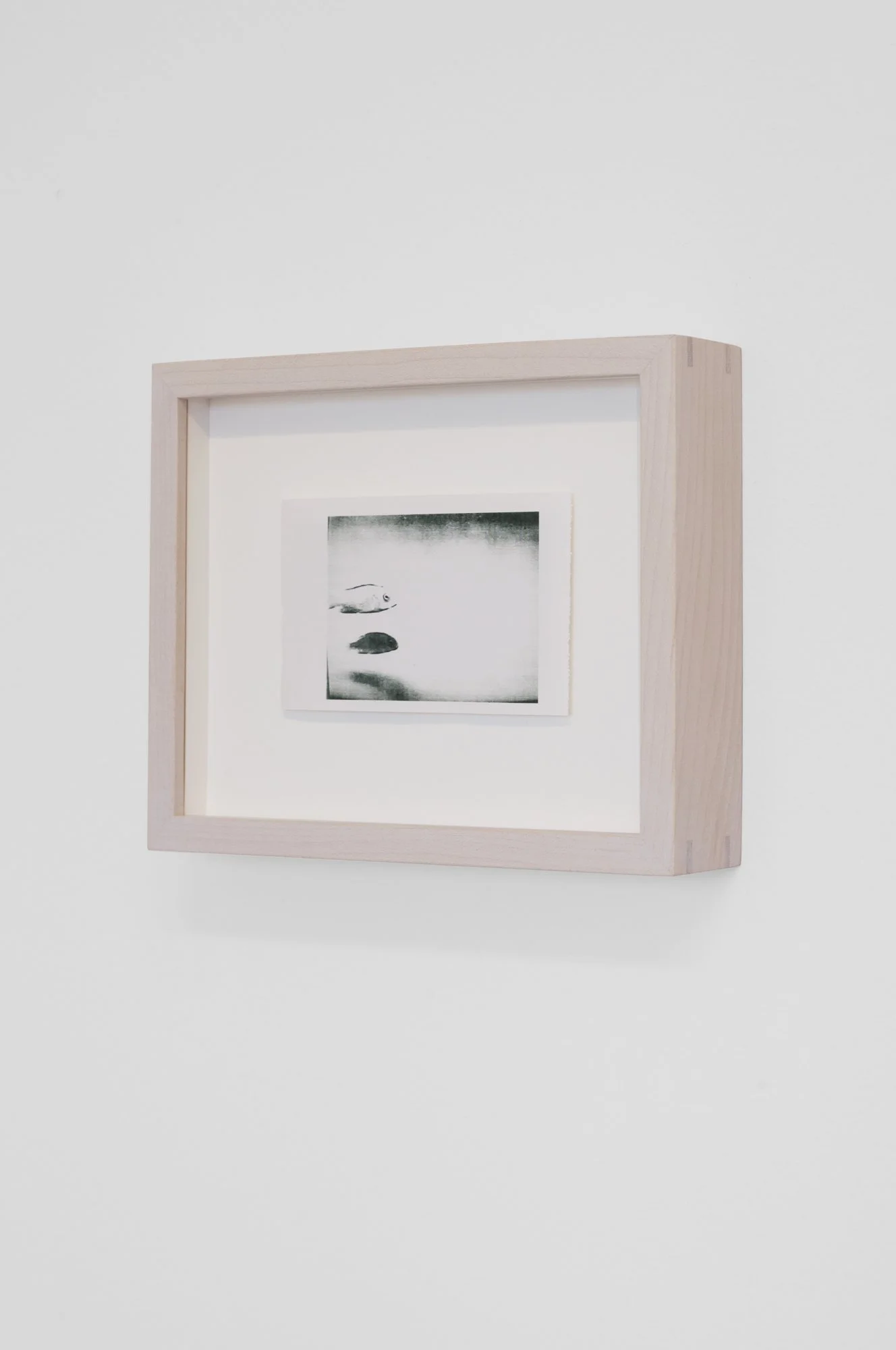 Animated by Violet_Violet Cheverez_2024_curated by Mary McNee_InstallationView016.jpg