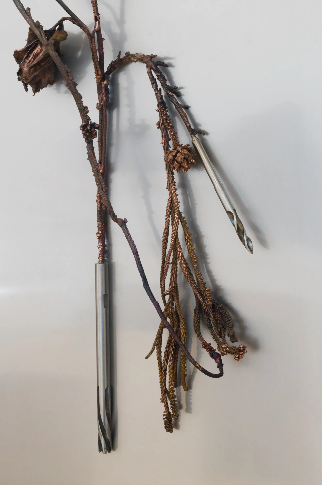 L1109934.jpg