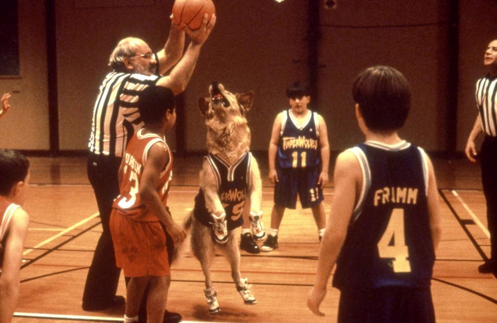 Air Bud 1997 © Walt Disney Pictures