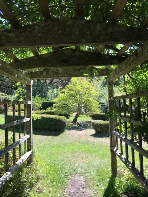 The Power of Compassion