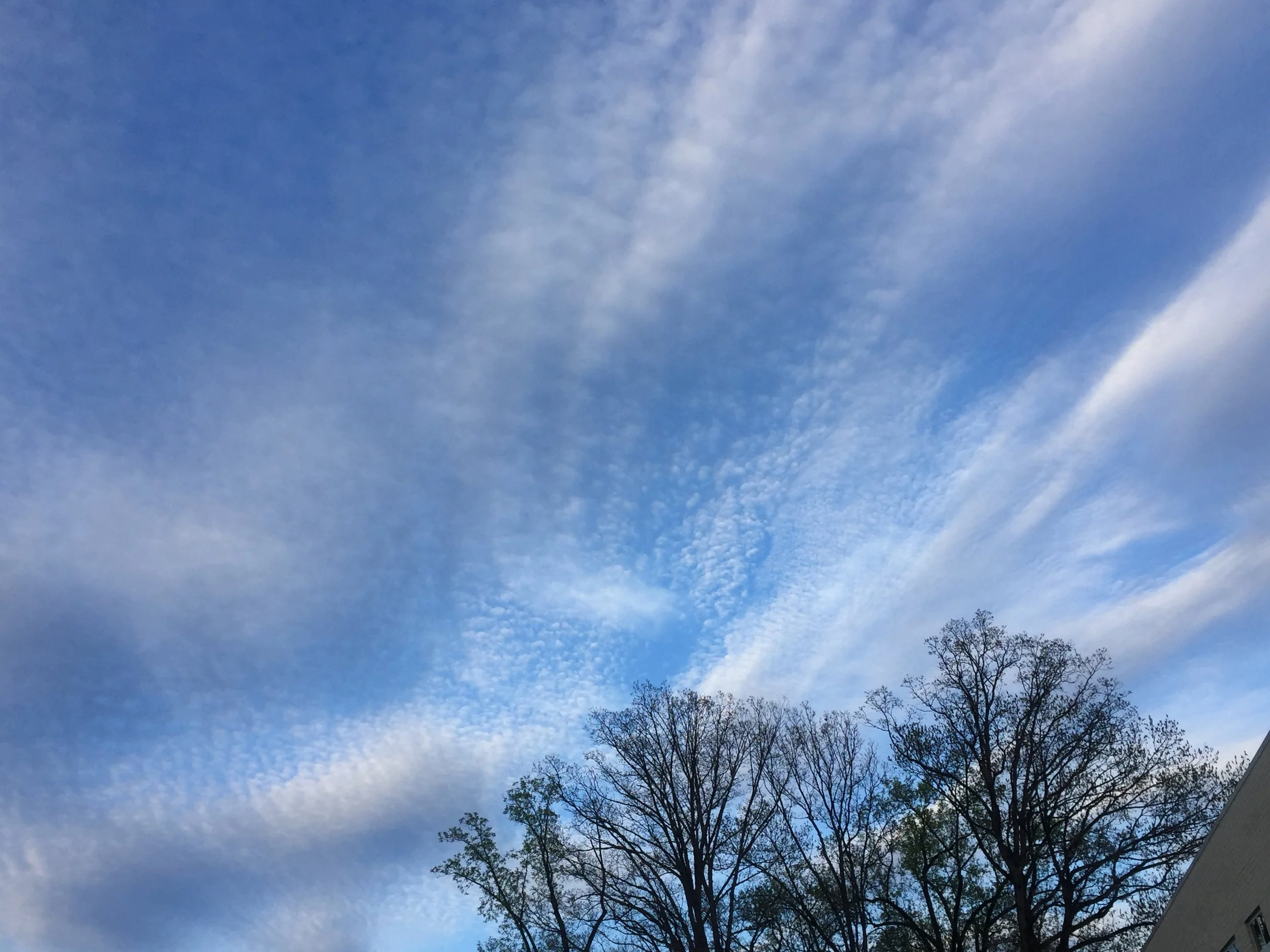 Honoring Mother Earth