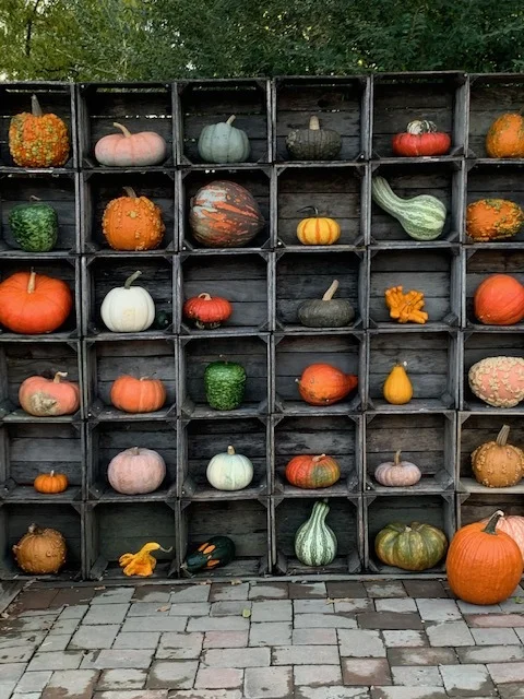 Thanksgiving in October . . . and Everyday