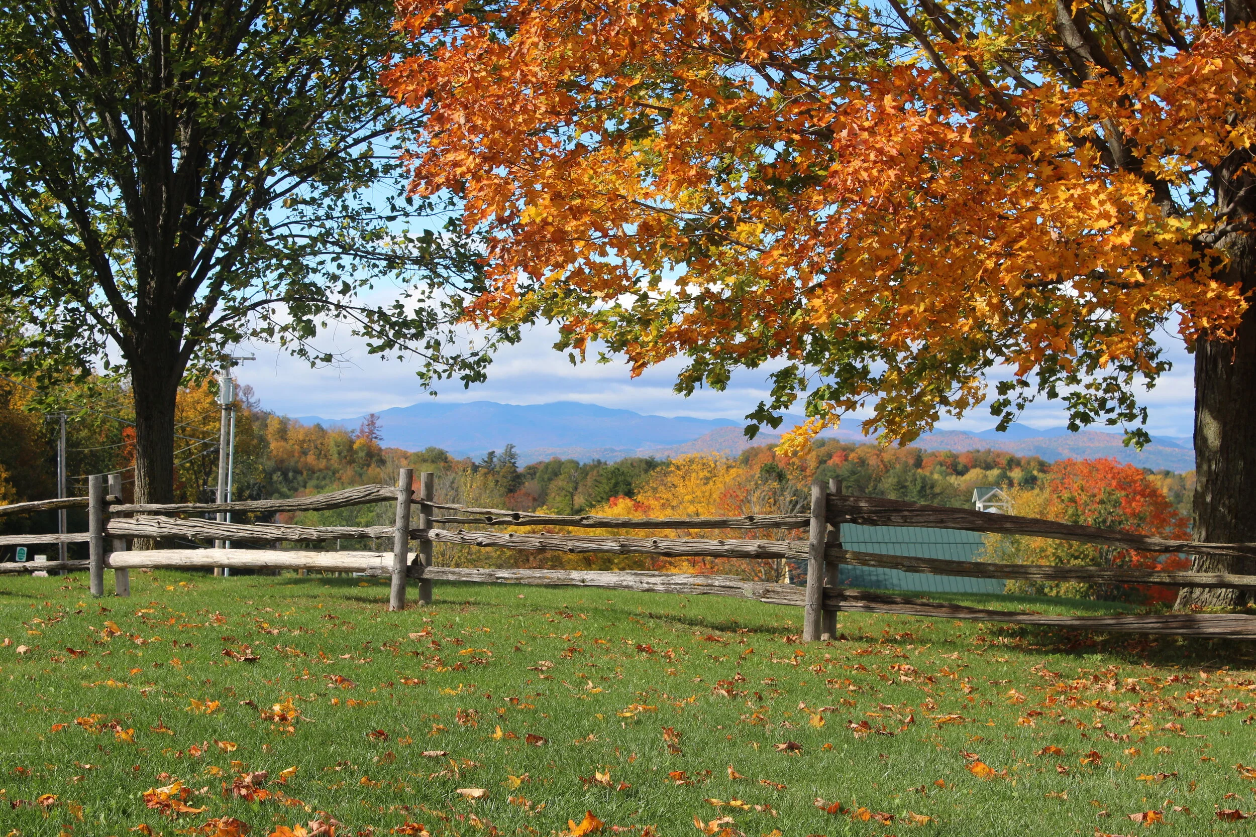 Exploring True Happiness with the Five Mindfulness Trainings