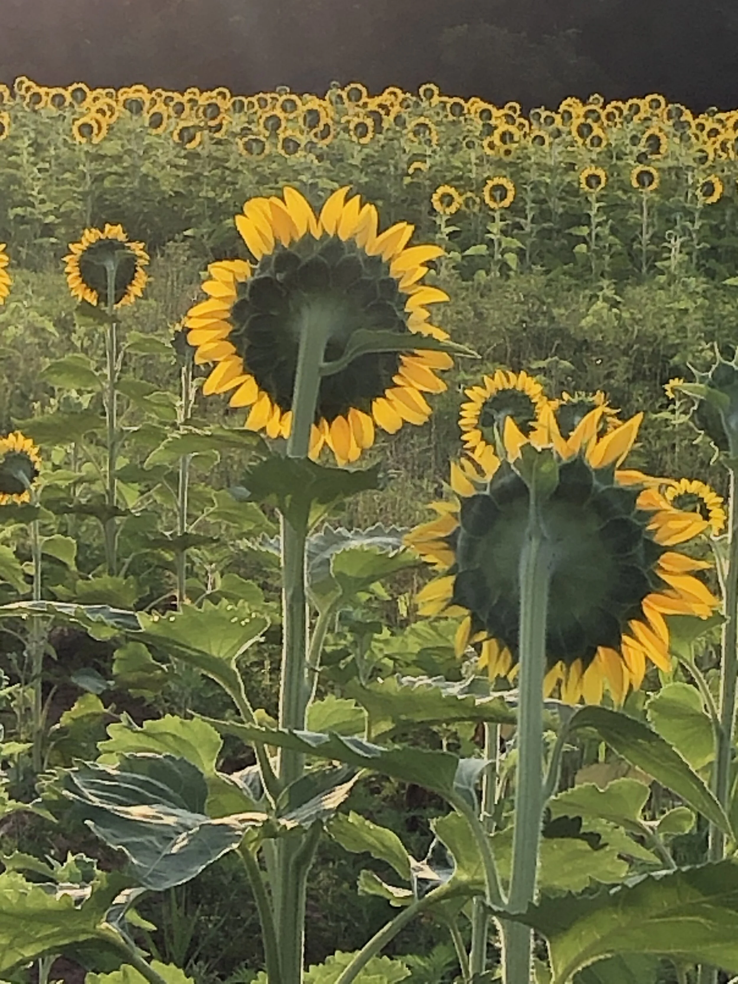 The Unfinished Art of Grieving