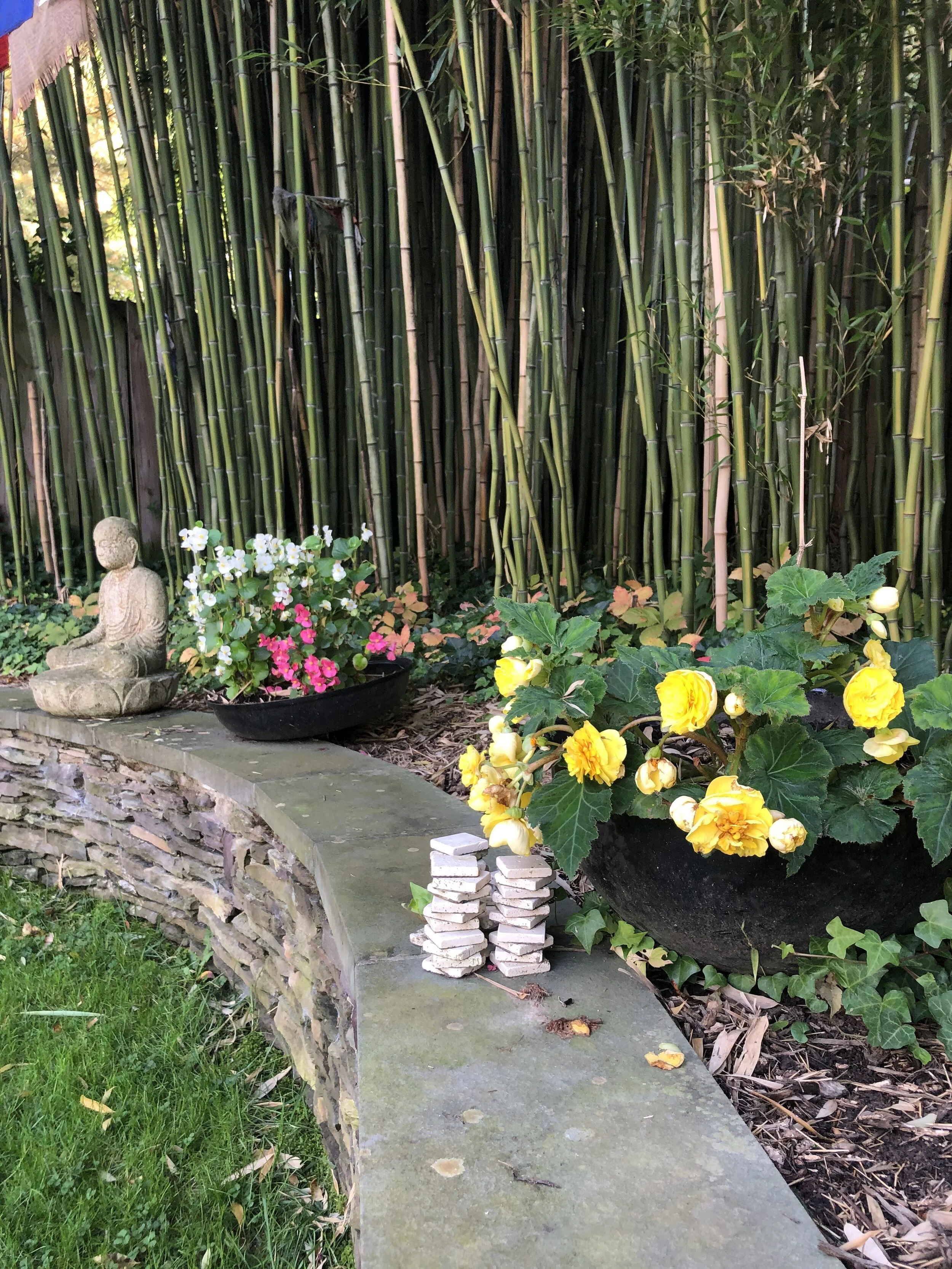 Acknowledging Beauty as Reverence for Life