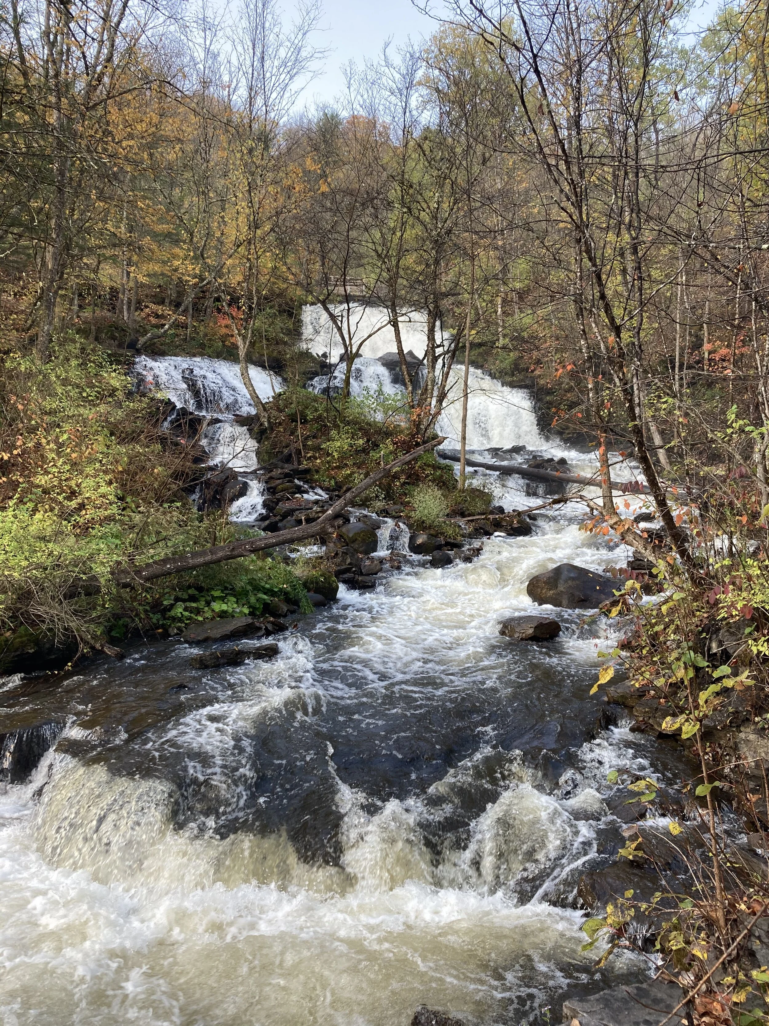 True Happiness and Generosity: The Second Mindfulness Training