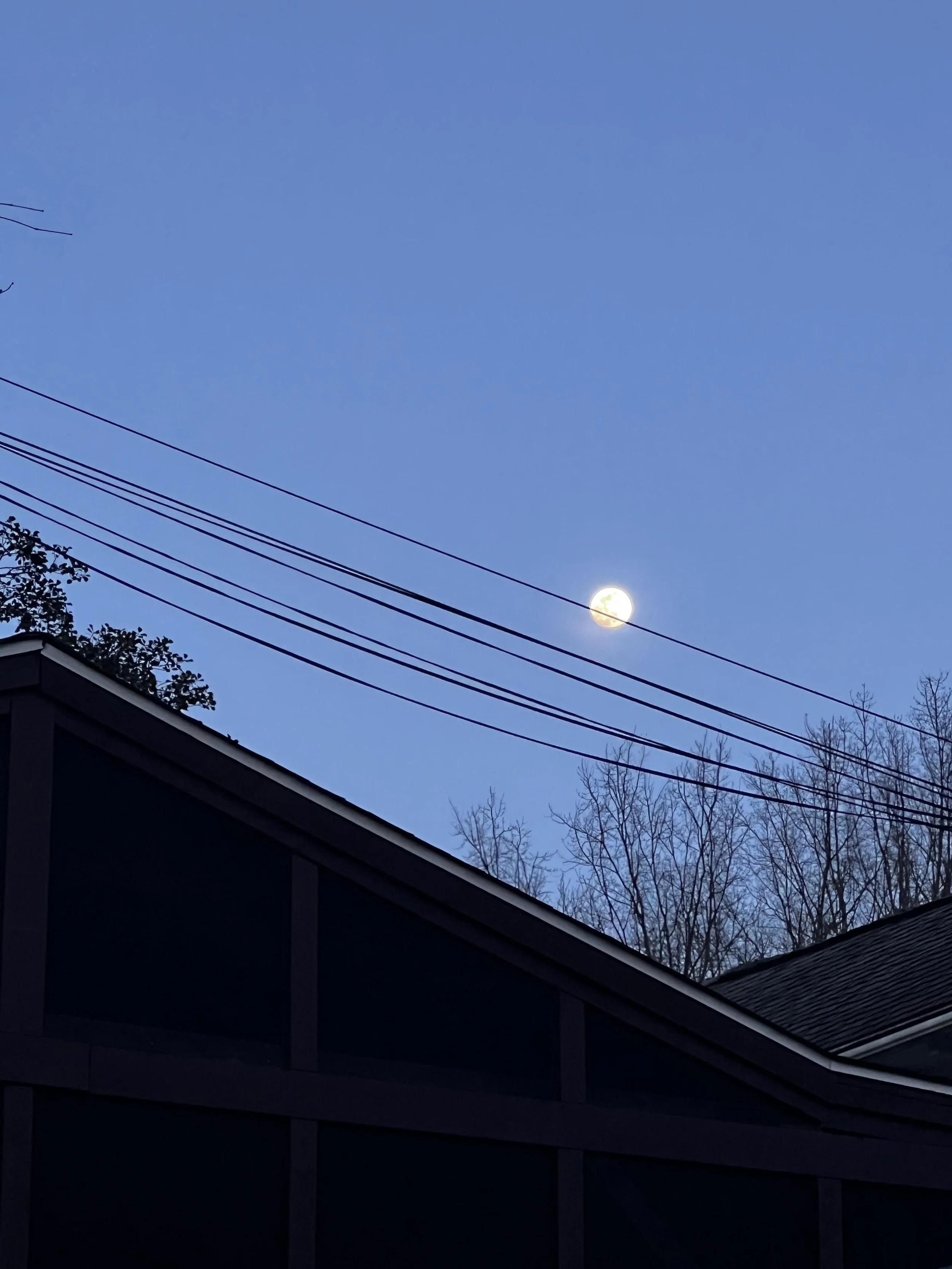 Fostering stillness and space in our daily lives