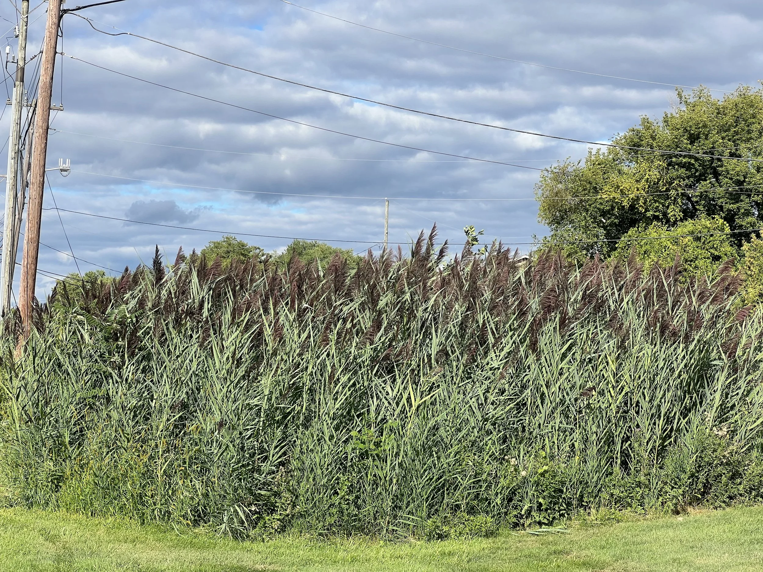 Finding Our True Home Even Here