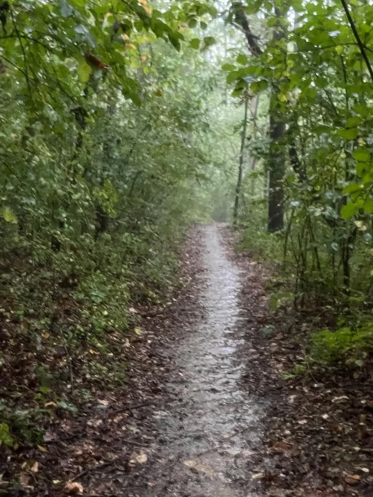 The Way out is In: Acting from Clear, Spacious Love