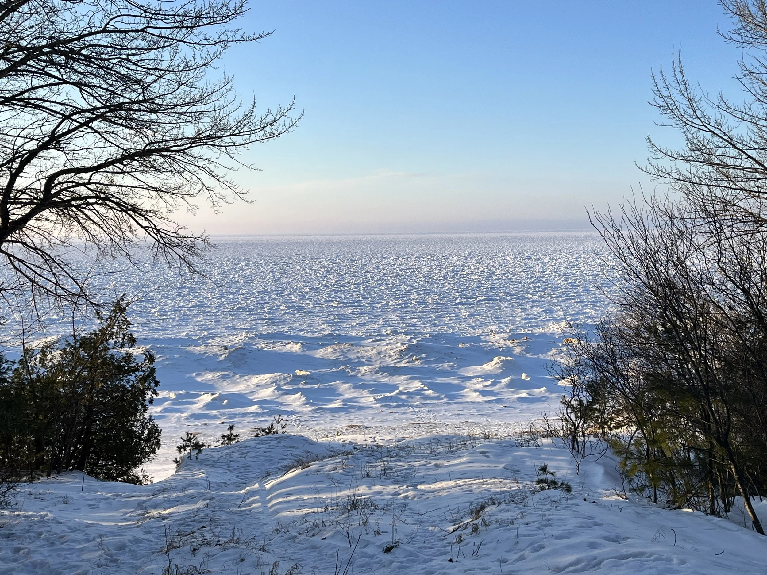 Finding Awe and Joy Through Mindfulness