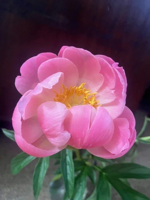 An Invitation to Come Home to Your Body