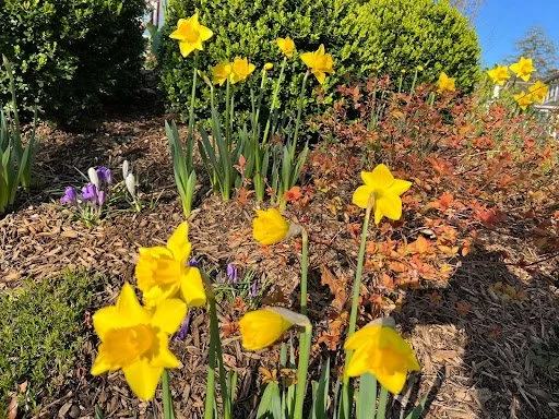 How to Take in the News Without Closing Your Heart