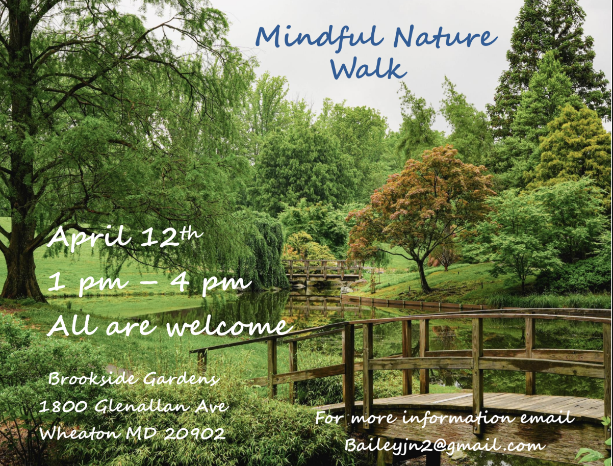 Mindful Nature Walk