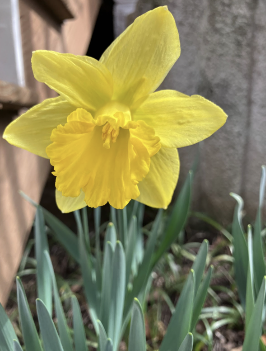 Opening Heart 2025 Annual Meeting