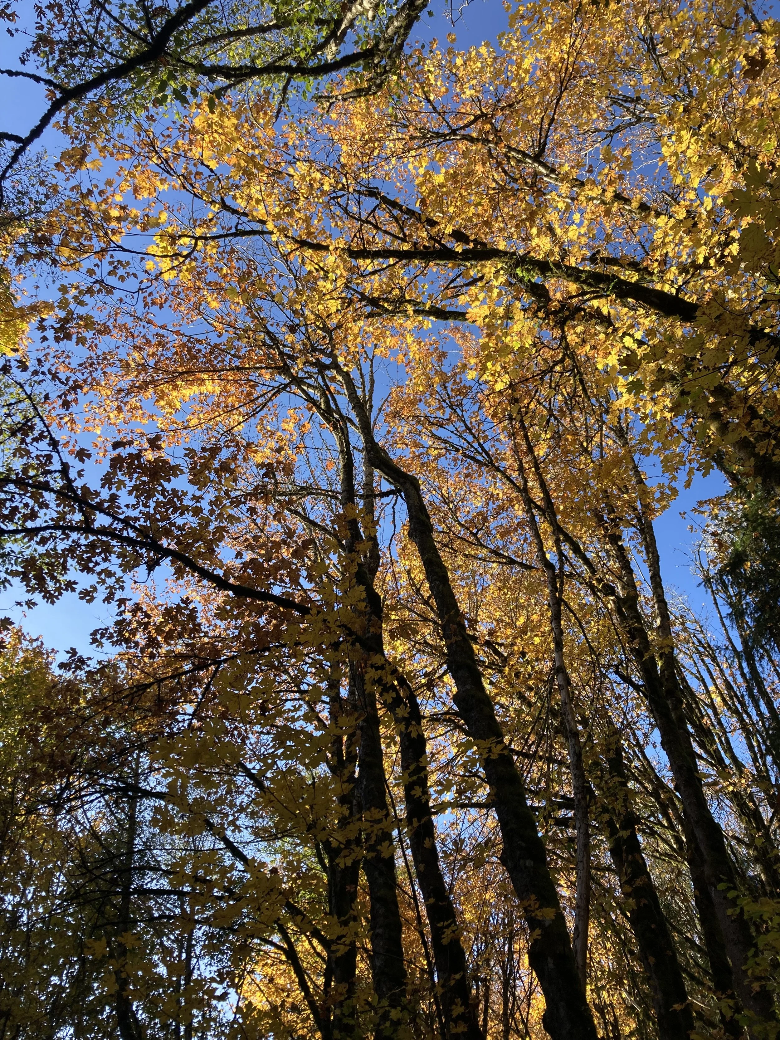 Knowing When to Rest is A Deep Practice